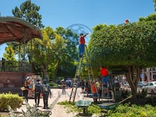Trabajadores municipales realizan labores de poda en el Jardín Zenea