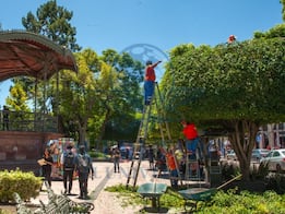 Trabajadores municipales realizan labores de poda en el Jardín Zenea