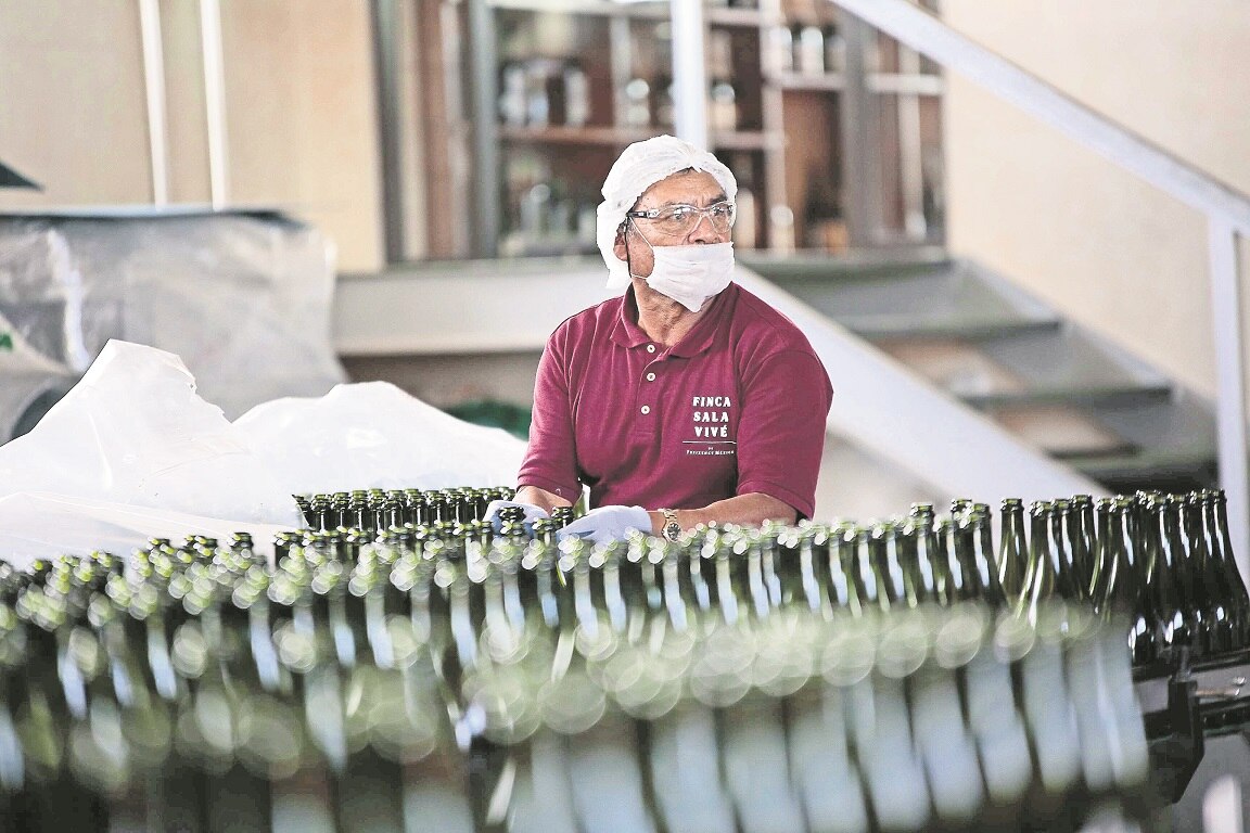 IMSS confirma crecimiento de empleo en Querétaro