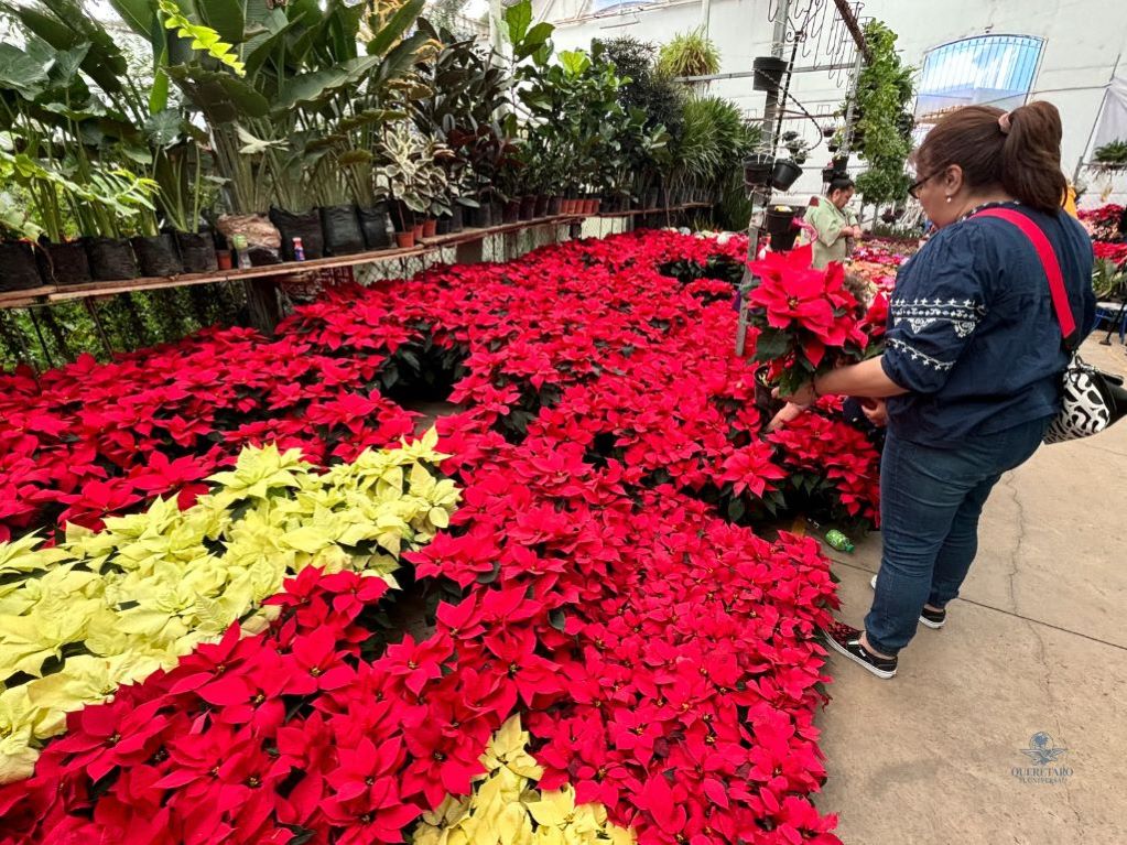 Disminuyen las ventas en el Mercado de las Flores