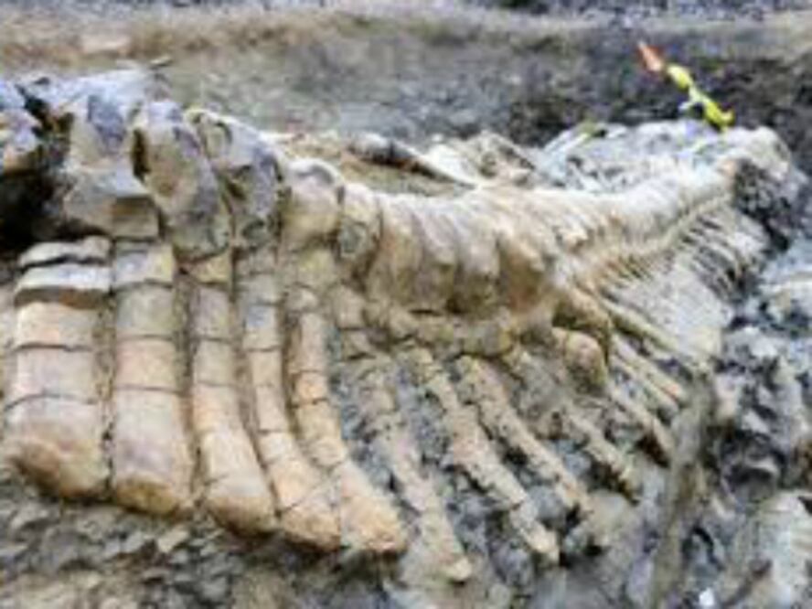 Restos de mamut sin rescatar