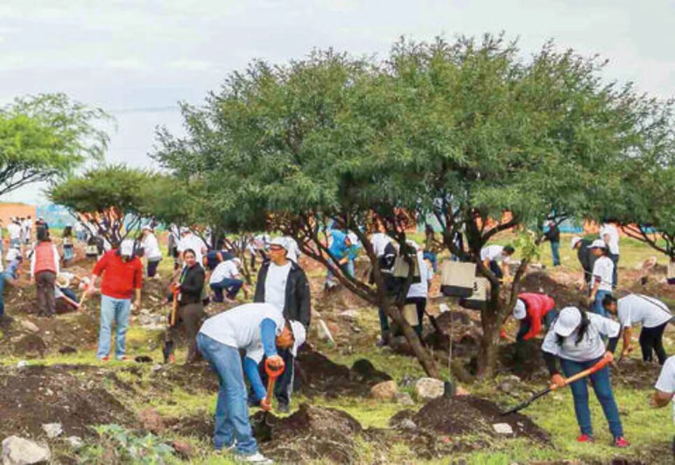 Busca PVEM secretaría medioambiental