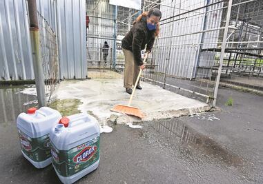 Darán seguro de vida por 100 mil pesos a comerciantes de mercados y tianguistas del municipio de Querétaro