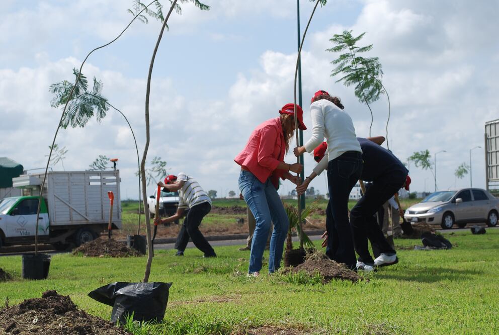 Sedena venderá 250 mil árboles para la capital