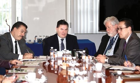 Surge Comité de información