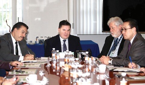 Surge Comité de información