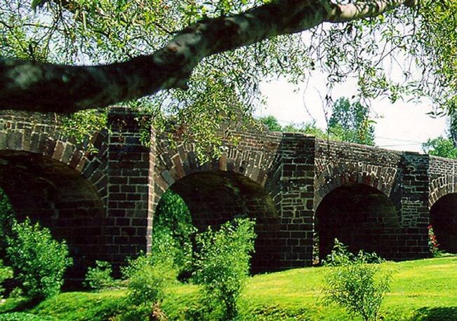 FDS: denuncia por tala de árboles es un tema político