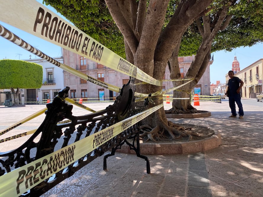 Foto: Demian Chávez