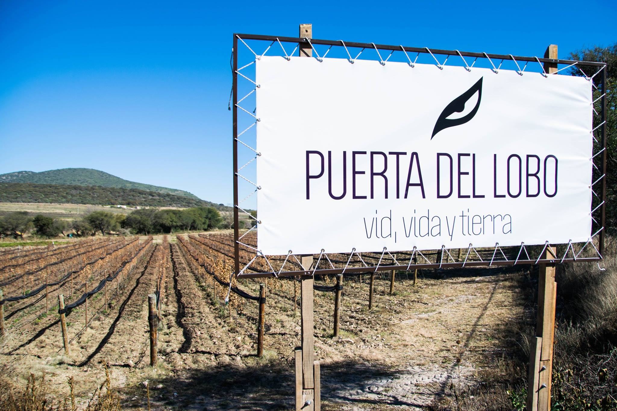 Foto: Tomada de Facebook @MunicipioElMarques