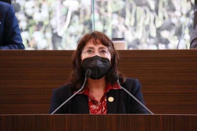 Denuncian a diputada de Morena por violencia política de género