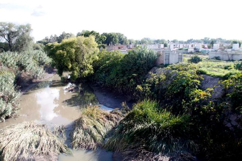 Foto: Guillermo González