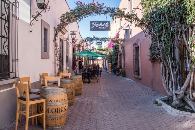 Turistear por el estado para revivir economía