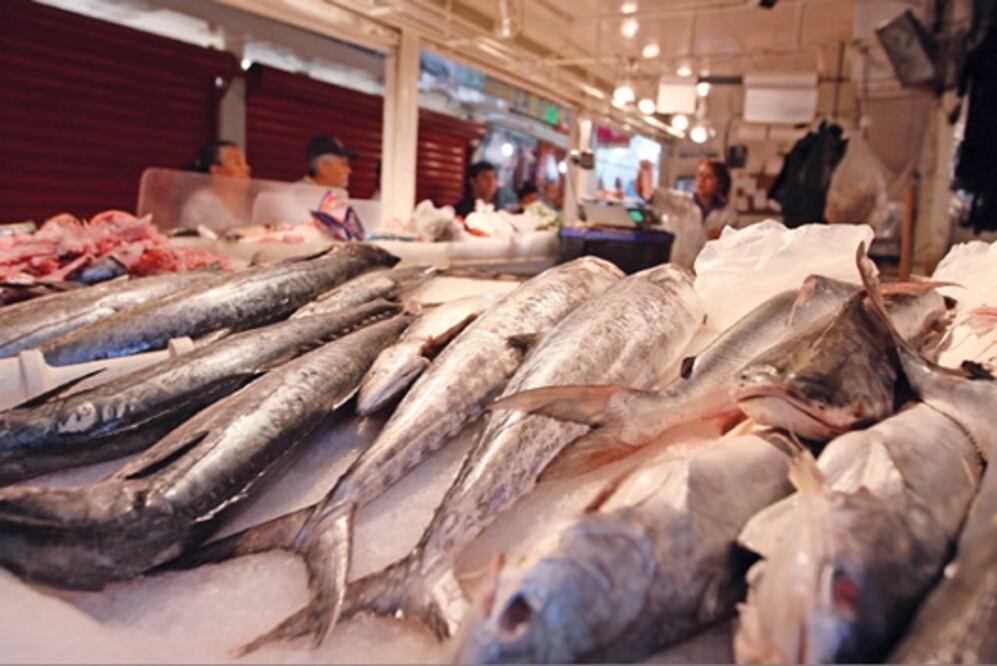 Estiman alza en sector pesquero