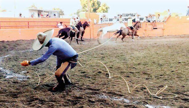 Foto: Archivo El Universal