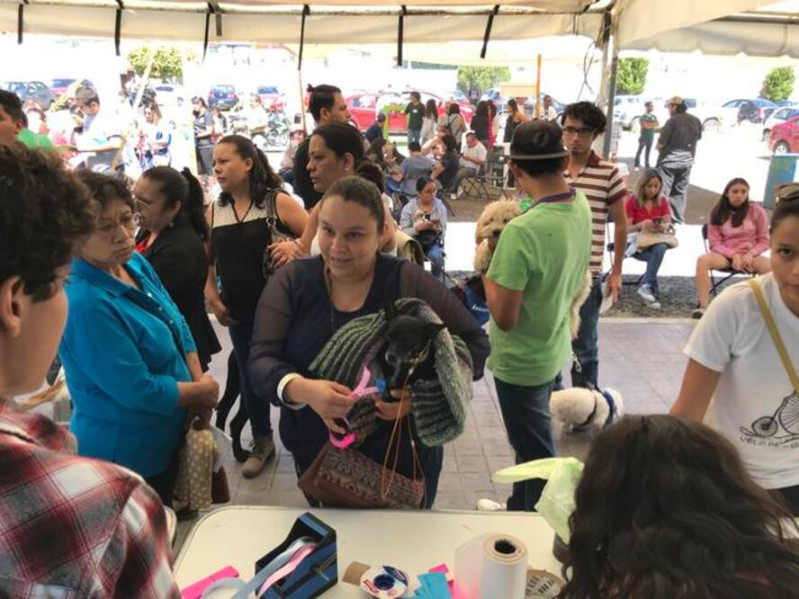 Foto: Demian Chávez