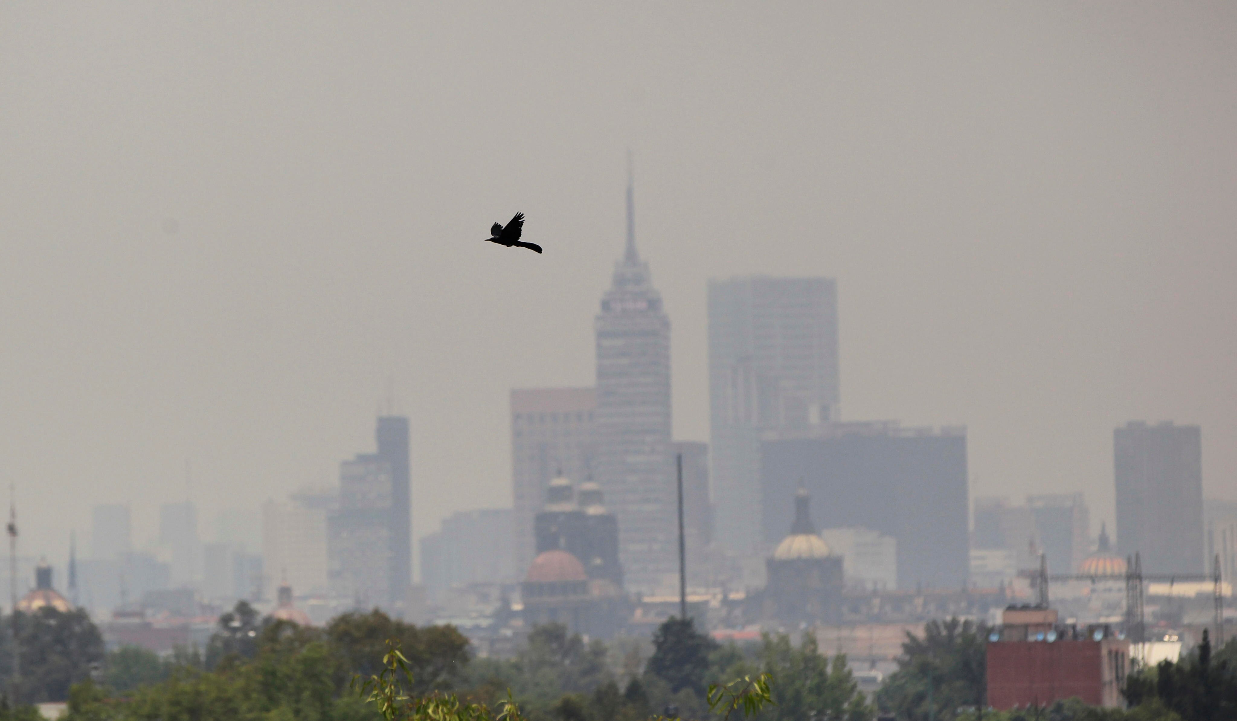 La Semarnat imparte taller sobre cambio climático