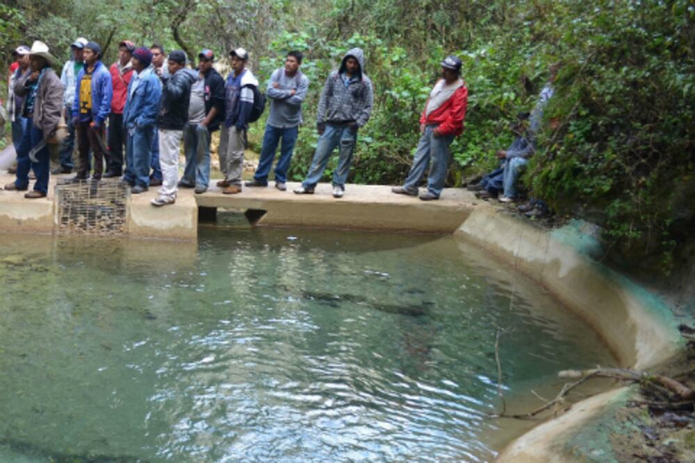 Niegan que haya polución  en  agua de Loma Linda