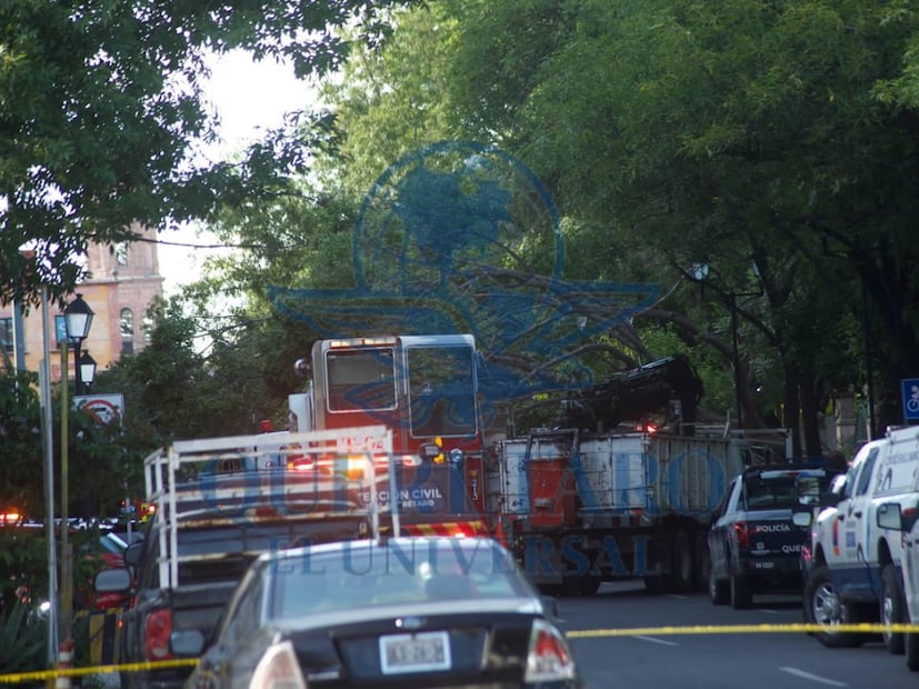 FOTO. FERNANDO CAMACHO