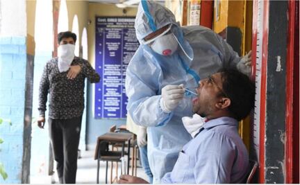 OMS reporta 11.3 millones de casos de Covid-19 en el mundo