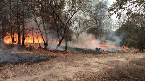 Amealco solicita apoyo con helicópteros para combatir incendio forestal en El Salvador y La Beata