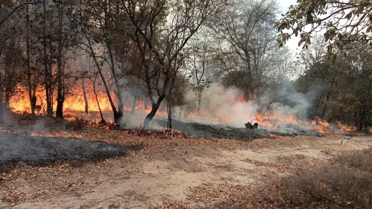 Foto: Facebook Gobierno Municipal de Amealco de Bonfil