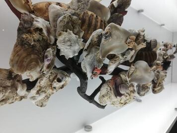 Arte que va más allá de los límites