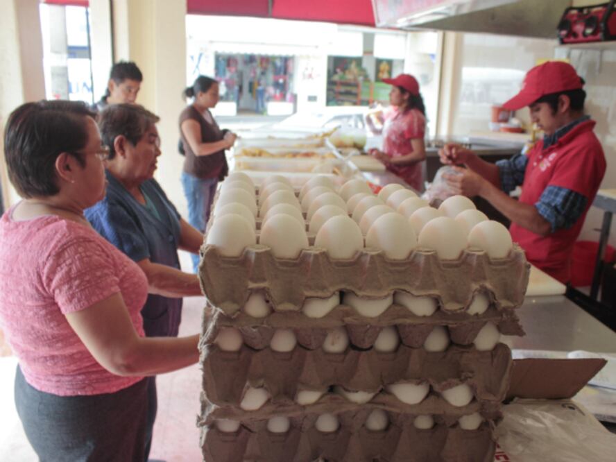 Busca Querétaro aumentar producción de huevo
