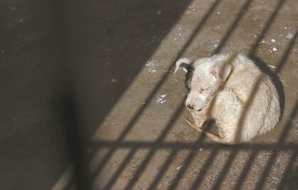 Abandono en azotea, el caso de maltrato más común en la capital de Querétaro 