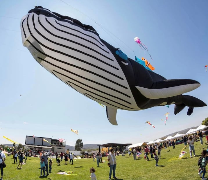 Foto. Facebook Fiesta de los Papalotes Tequisquiapan