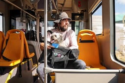 Llaman a registrar a mascotas al programa PetFriendly del sistema de transporte Qrobus