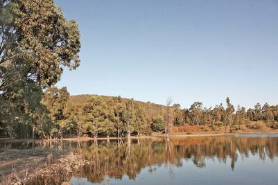 Piden más apoyo para cuidar áreas verdes