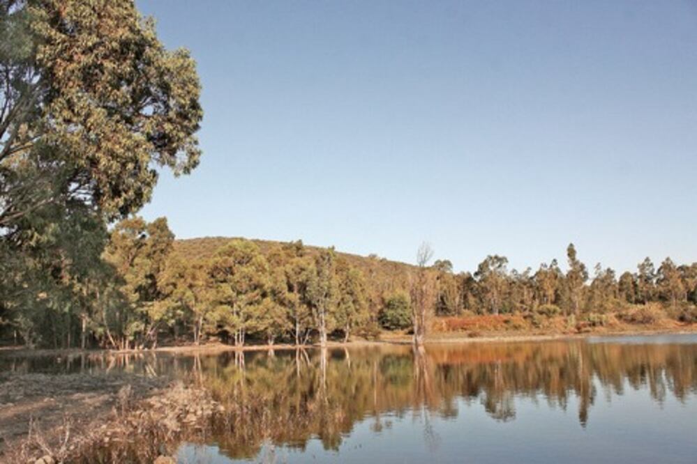 Piden más apoyo para cuidar áreas verdes