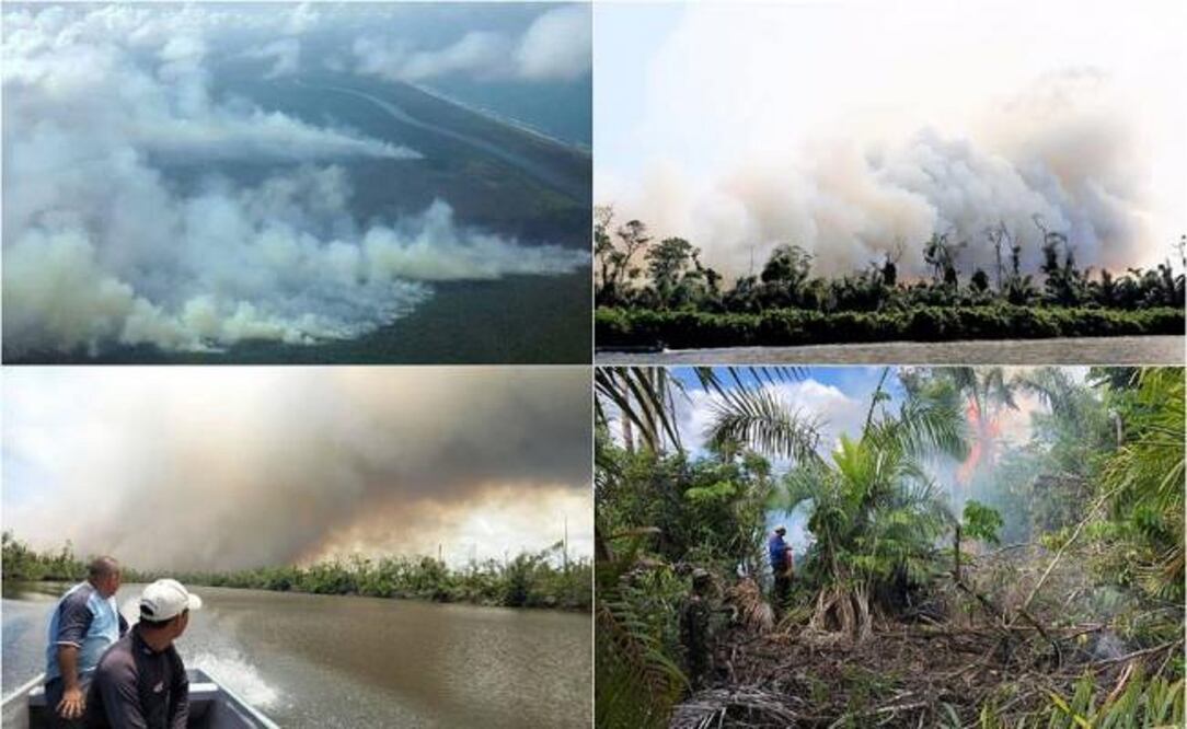 Un incendio forestal se desató desde el pasado 3 de abril en una reserva biológica en el sureste de Nicaragua (Foto: Fundación del Río/Gobierno Rama y Kriol)