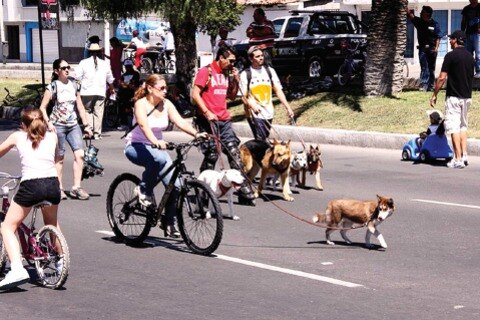 Acercarán  a delegaciones programa de recreación