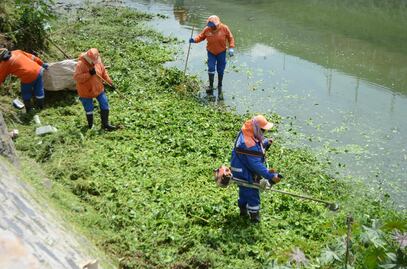 Agua se pinta de rojo en el dren de El Arenal