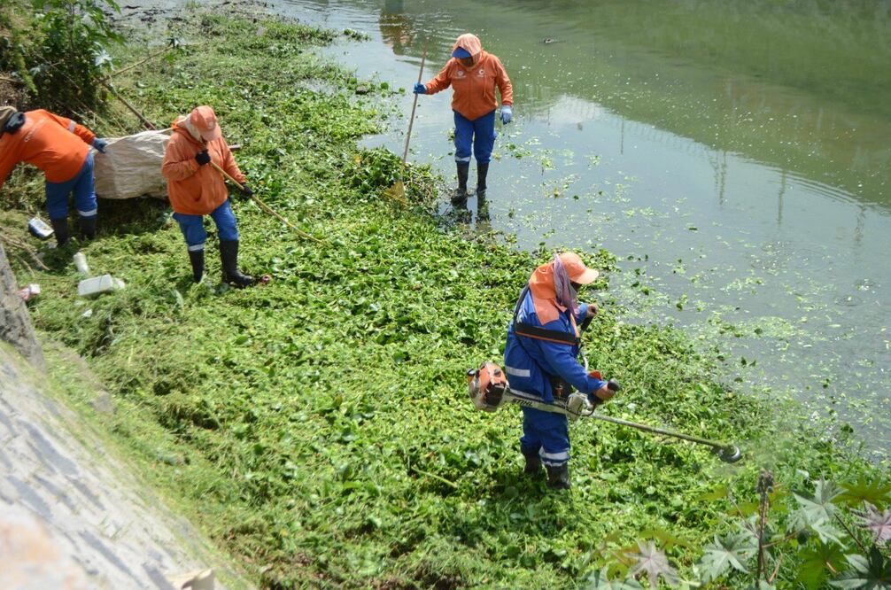 Foto: Facebook Servicios Públicos Municipales de Querétaro