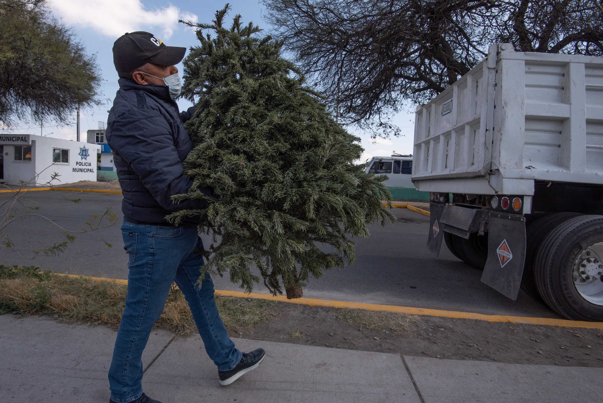 ¿A dónde llamar para que el Ayuntamiento recoja el arbolito de Navidad?