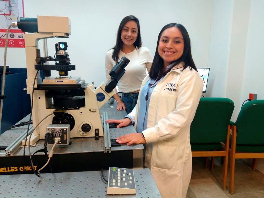 Foto: Domingo Valdez