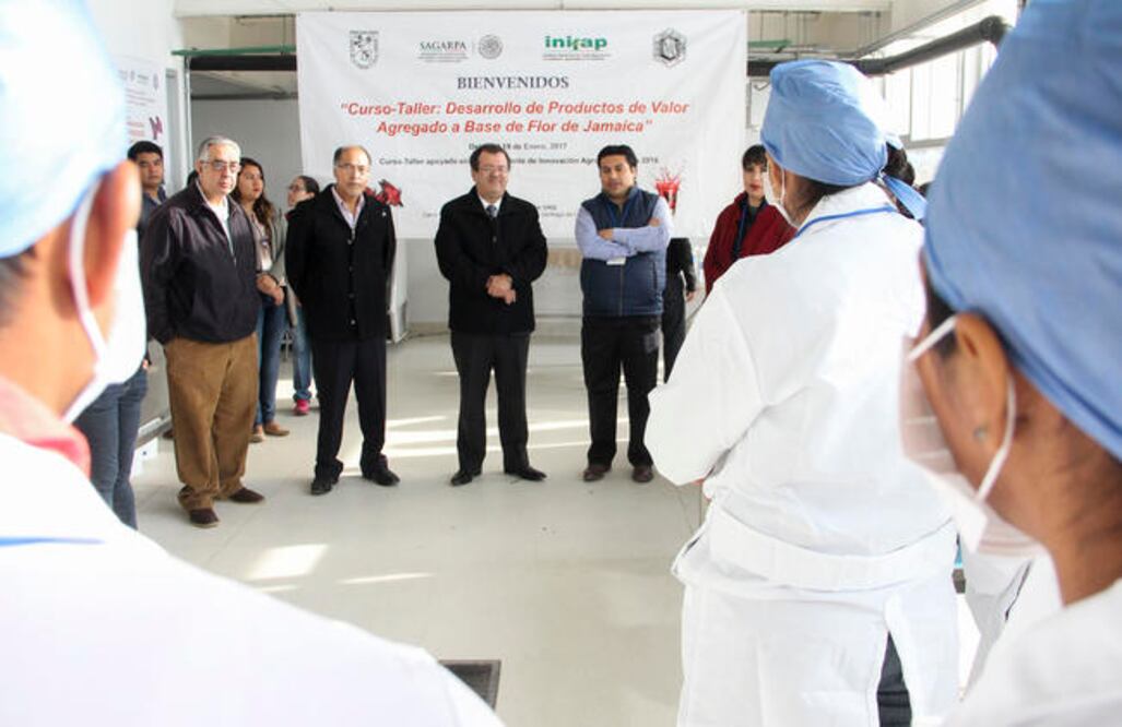 La Facultad de Química imparte el curso-taller “Desarrollo de proyectos de valor agregado a base de flor de jamaica” a 8 habitantes de Ayutla, Guerrero (ESPECIAL)
