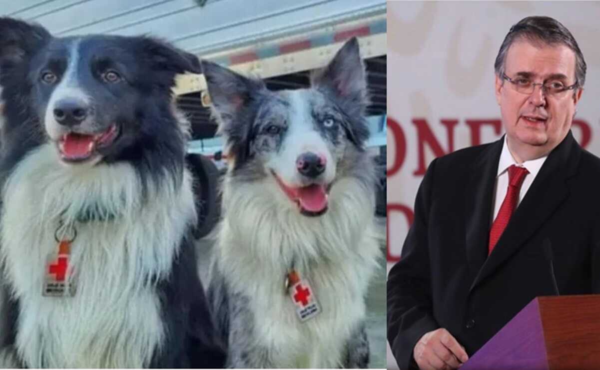 Viral. Marcelo Ebrard presume llaveros de perros rescatistas y ¡todos queremos uno!