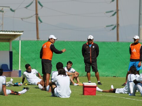 Gallos ahora tras Monarcas
