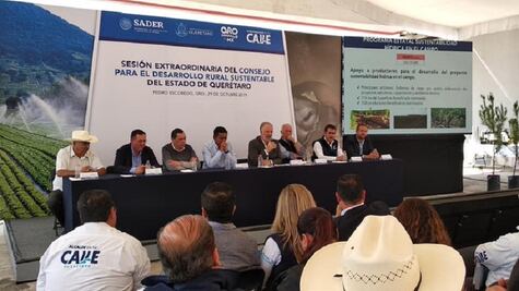 Presupuesto federal dañará a ganaderos, denuncia UGRQ