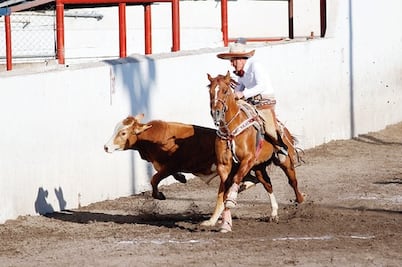 Charros en la Feria de San Juan del Río
