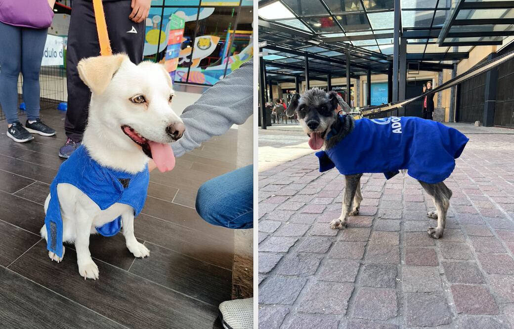 Foto: Servicios Públicos Municipales