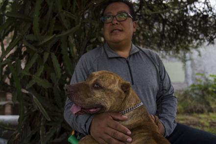 Perros pitbull. Una raza incomprendida
