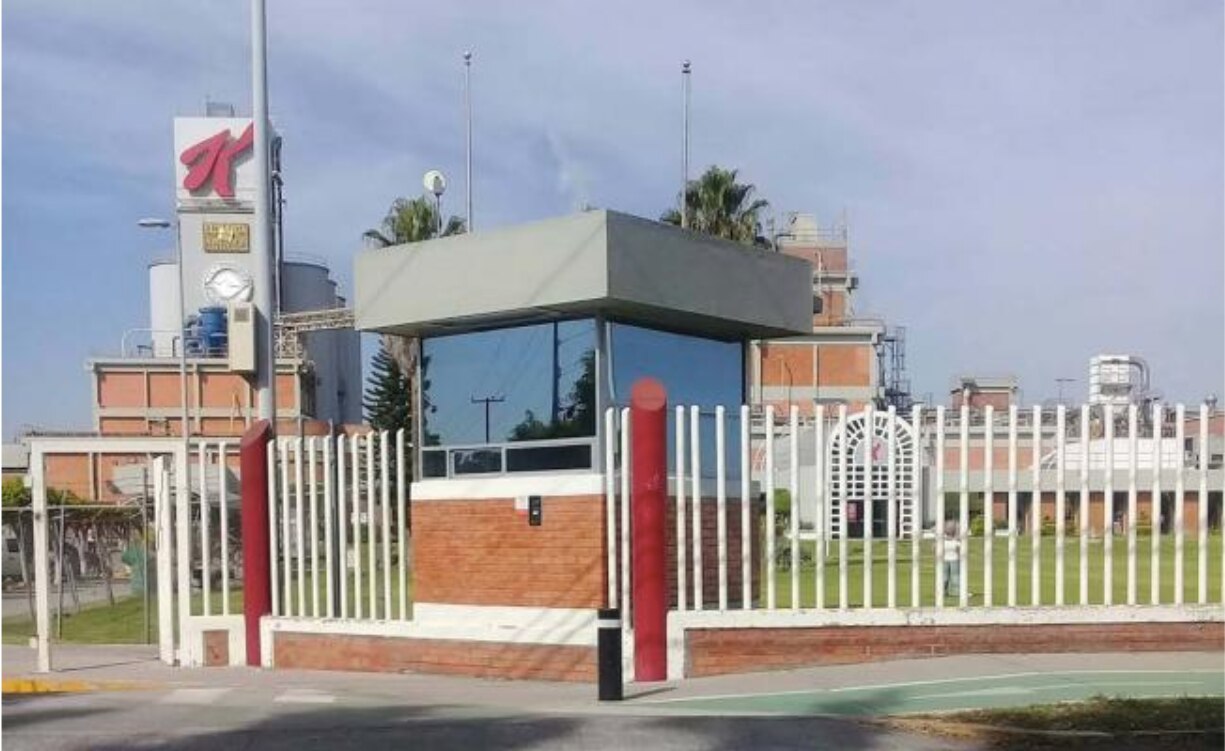 Kellogg’s ve por la alimentación infantil
