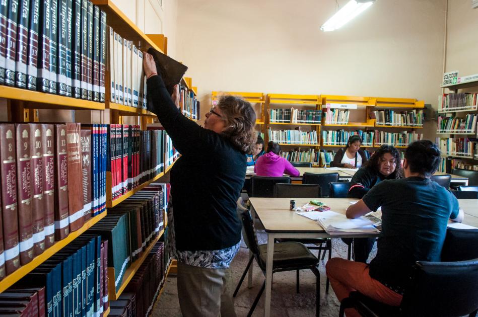 Vagones llenos de sabiduría en Hécules