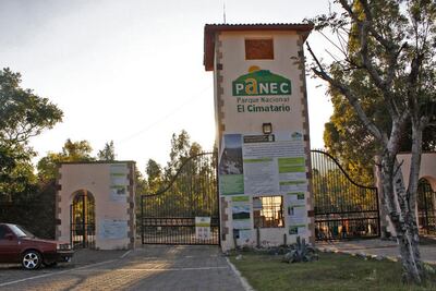 “Reestructuración en Panec es para mejorar”    