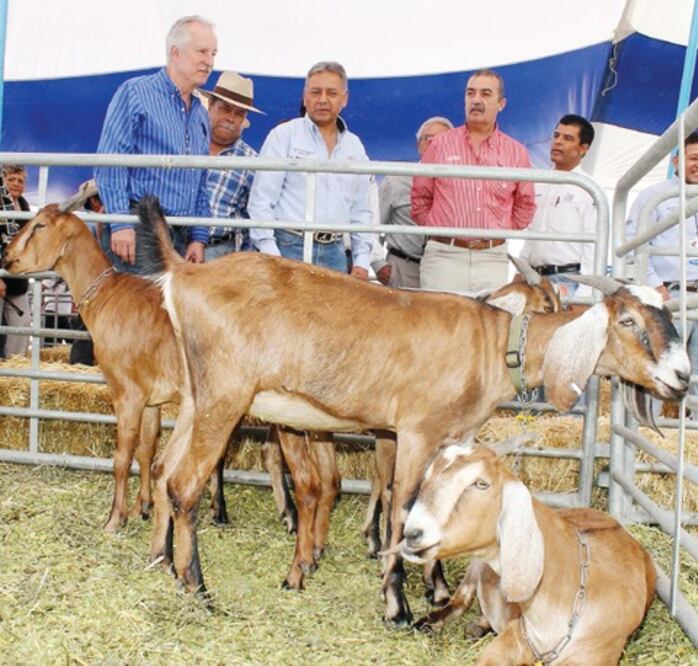 Garantizan siembra en El Marqués