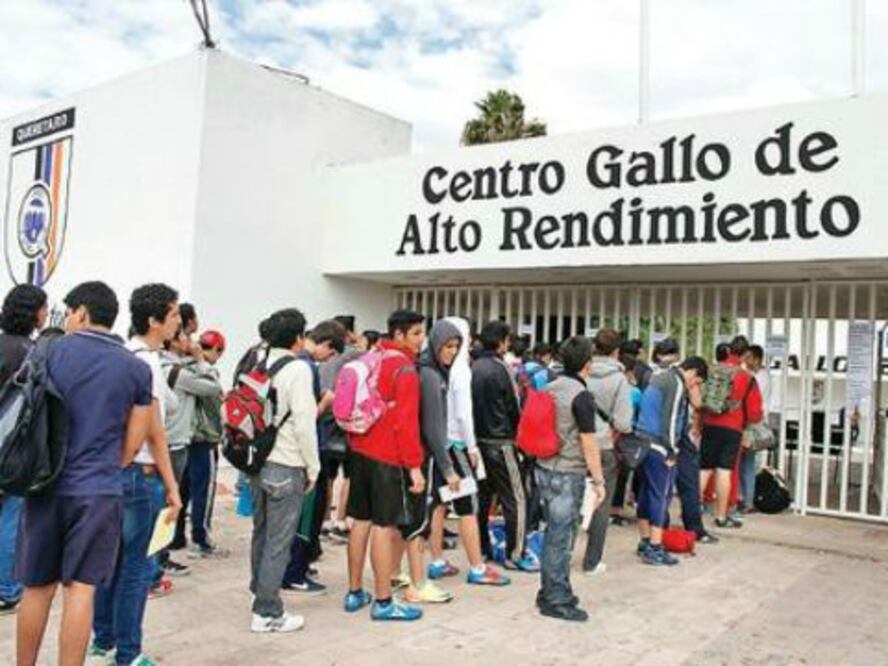 Gallos regresa a las actividades